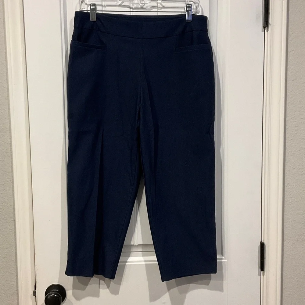 Time and Tru Capri Pants - Picture 1 of 5